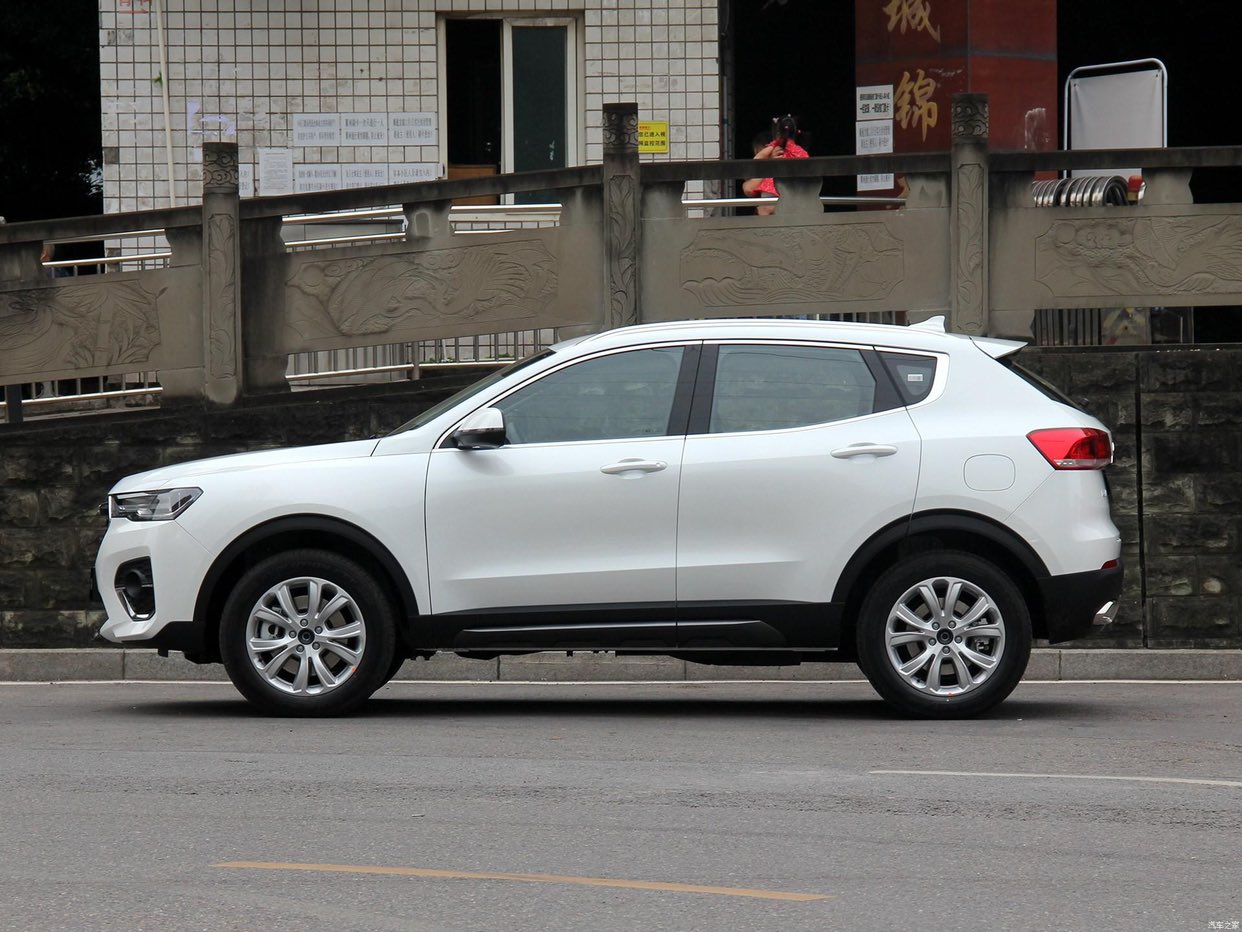 春天带狗狗去踏青呀 - 哈弗h4 - 哈弗互动社区 - powered by discuz!